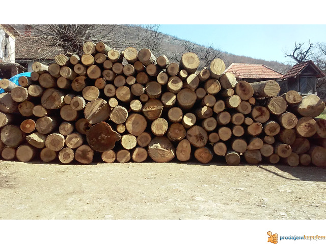 Besplatni oglasi za posao beograd besplatni oglasi za posao beograd