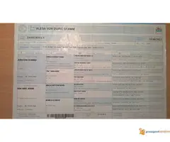 Muzjak dobermana 10 meseci - Black Summit Kennel