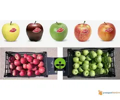 Restoran i motel Suncano jezero