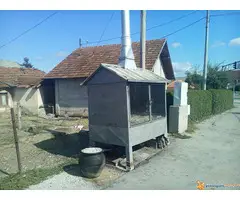 MANGALO za pečenje prasića