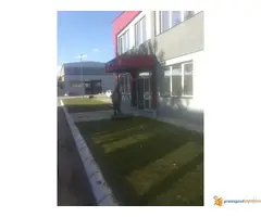 Tepih trava (busen rolna) - 6