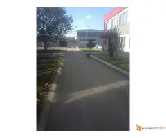 Tepih trava (busen rolna) - 7