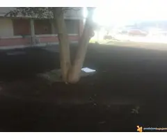 Tepih trava (busen rolna) - 2