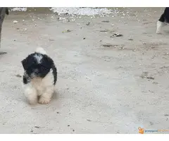 Prodajem stence SI-CU