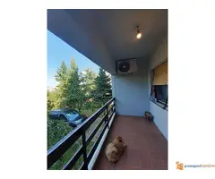 Na prodaju kuća u Sremčici, 300 m2 - 4