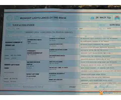 Novo leglo NJUFAUNDLENDA - 6