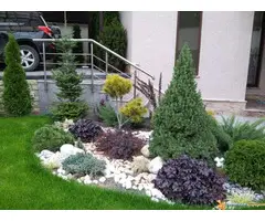 Prodaja sadnica i tepih trave - 4