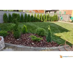 Prodaja sadnica i tepih trave - 6
