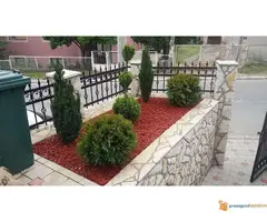 Prodaja sadnica i tepih trave - 7