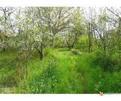 Prodajem plac pod vocnjakom sa dve kuce u Bg. - 3