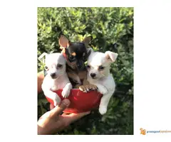 Mikro CIVAVA na prodaju