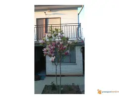 Na prodaju kuca 130m2 Ripanj - 6