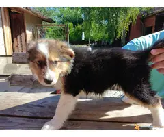 BORDEL COLLI stenad - 3