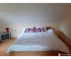 Tara Sokolina izdavanje