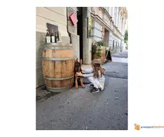 Nemački ovčar štenci