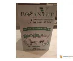 Stenci DZEK RASEL TERIJERA vrhunskog porekla - 7