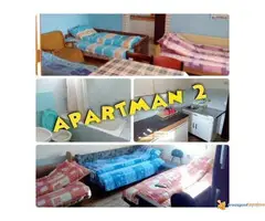 RUMA PRENOCISTE - konak 022 - 2