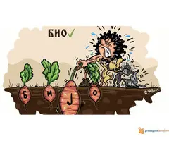 Privatni časovi srpskog i engleskog jezika