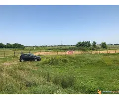 Plac od 1,2 ha na putu Novi Sad-Zrenjanin - 3