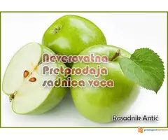 Rezervacija i prodaja voćnih sadnica jesen 2021 - 2