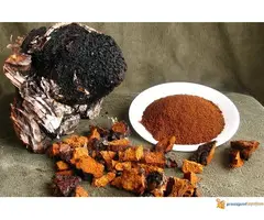 Biočaga - Antioksidans iz srca prirode