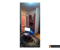 Izdajem stan 41m2, Kosutnjak - 2