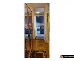 Izdajem stan 41m2, Kosutnjak - 4