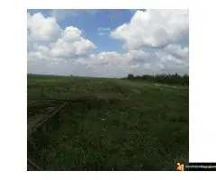 Prodaja placeva Ugrinovci - 4