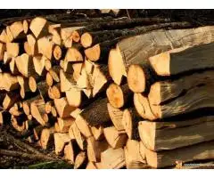 Prodajem drva za ogrev - 3