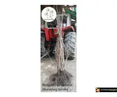 Kako podići kvalitetan Voćnjak i Vinograd ? - 7