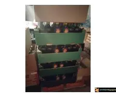 Staklene flaše i tegle