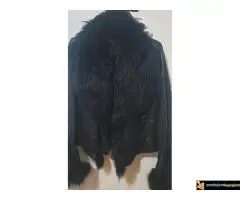 Povoljno prodajem zenske stvari