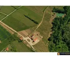 Šumadijsko domaćinstvo - 2