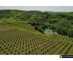 Šumadijsko domaćinstvo - 5