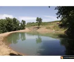 Šumadijsko domaćinstvo - 6