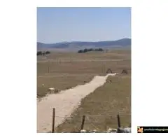 Plac na prodaju na Zabljaku, Moticki Gaj