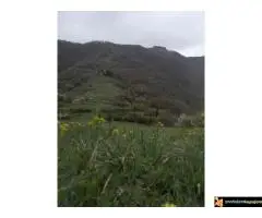 Prodajem placeve na Staroj planini