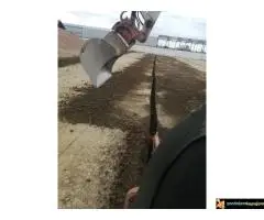 Iskop Kanala Beograd povoljno - 3