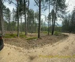 Na prodaju zemljiste ukupne povrsine 80 ari, Tometino polje - Divčibare