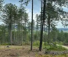 Na prodaju zemljiste ukupne povrsine 80 ari, Tometino polje - Divčibare