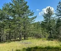 Na prodaju zemljiste ukupne povrsine 80 ari, Tometino polje - Divčibare - 6