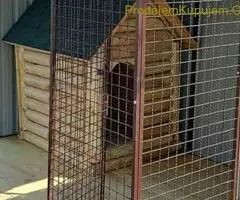 Na prodaju polovni montažni boksovi 2x2x2m