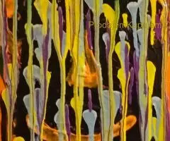 Prodaja umetnickih slika