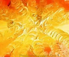 Prodaja umetnickih slika