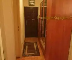 Izdajem 1,5 stan, Beograd Kosutnjak