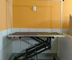 Sto za grooming pasa