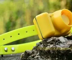 Ogrlice za dresuru pasa - 3