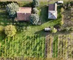 Bio Salaš blizu Subotice - 2