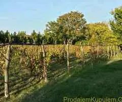 Bio Salaš blizu Subotice - 3