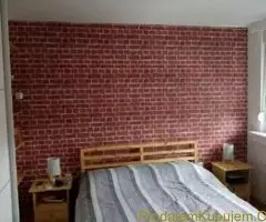 Molerski radovi-lepljenje tapeta-Beograd